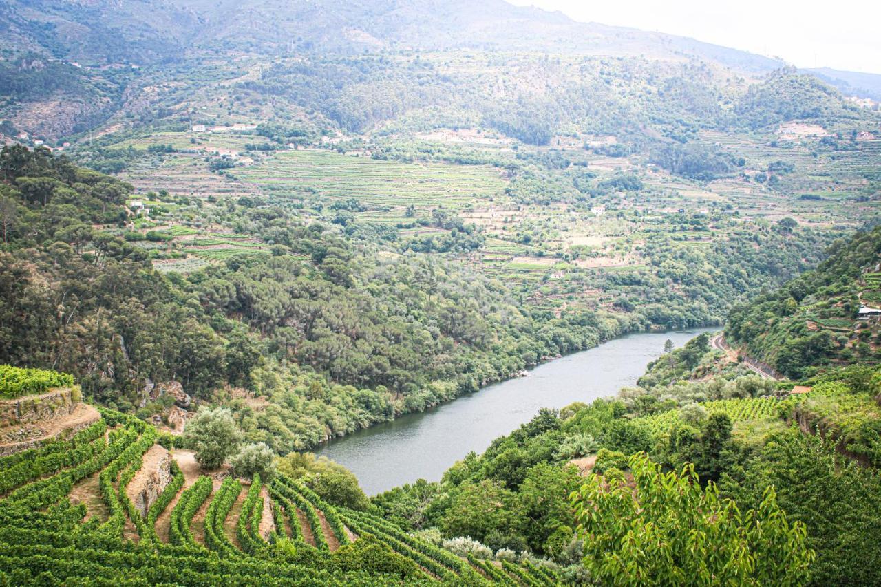 הוילה Casa Avos D'Ouro - Barqueiros, Mesao Frio, Douro מראה חיצוני תמונה